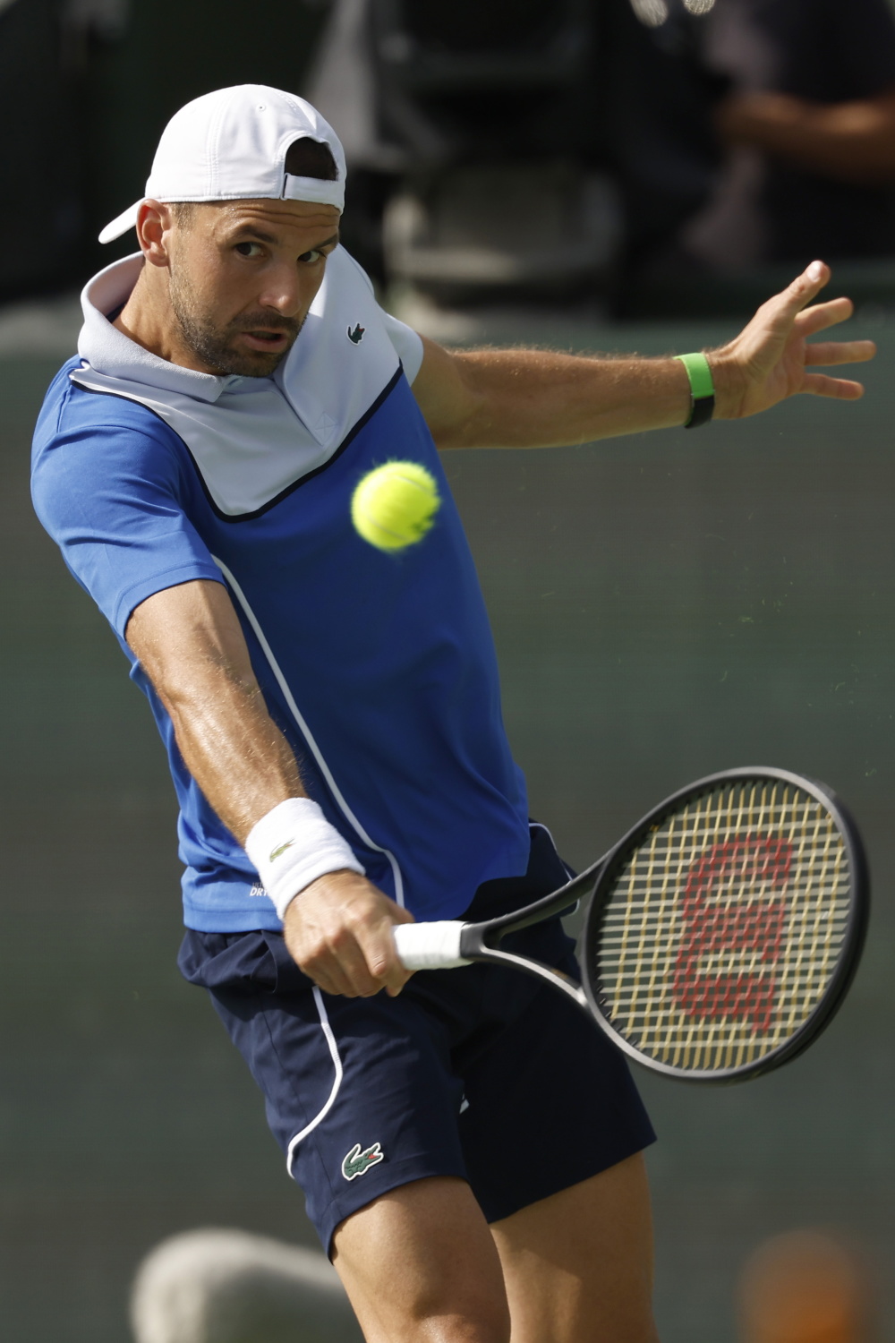 包含德国网球队爆冷西班牙网球队,梅德韦杰夫惊艳世界的词条 包含德国网球队爆冷西班牙网球队,梅德韦杰夫惊艳世界的词条