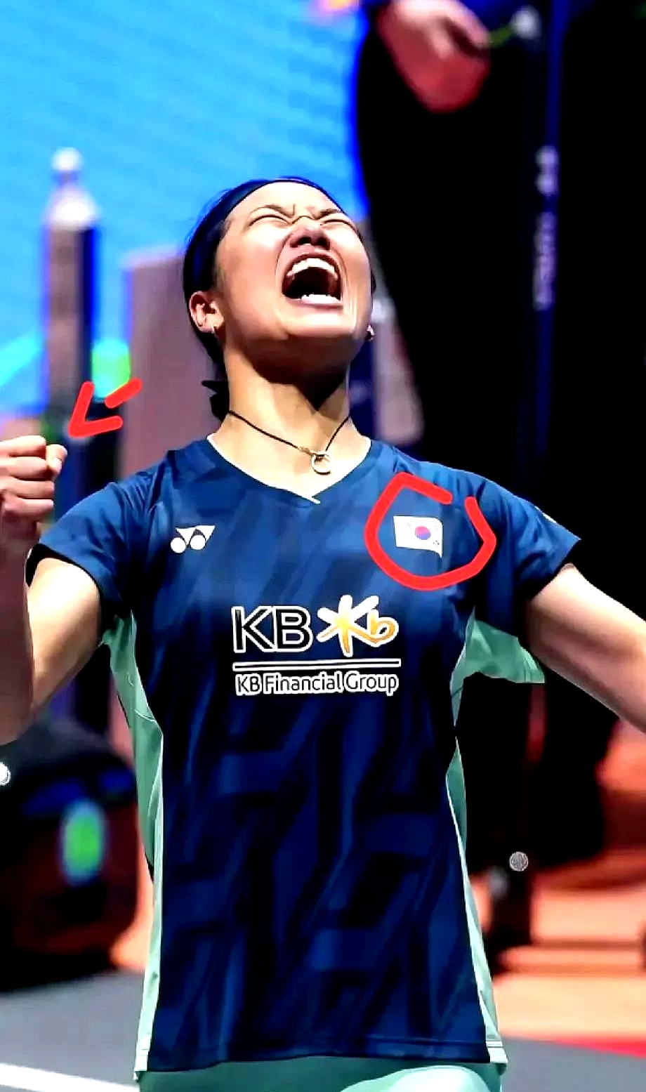 丹麦羽毛球队绝地反击韩国羽毛球队，辛杜惊艳世界的简单介绍