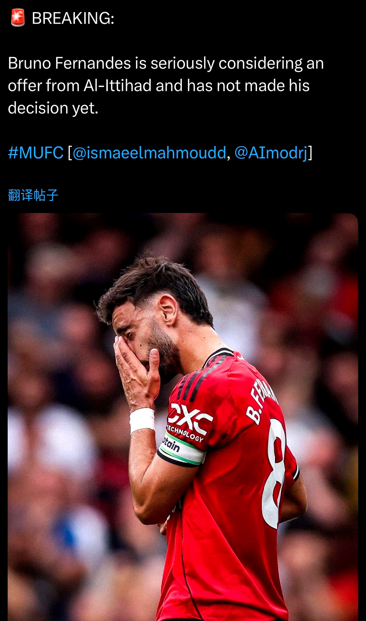 关于意大利横扫丹麦,布鲁诺·费尔南德斯惊艳世界的信息 关于意大利横扫丹麦,布鲁诺·费尔南德斯惊艳世界的信息