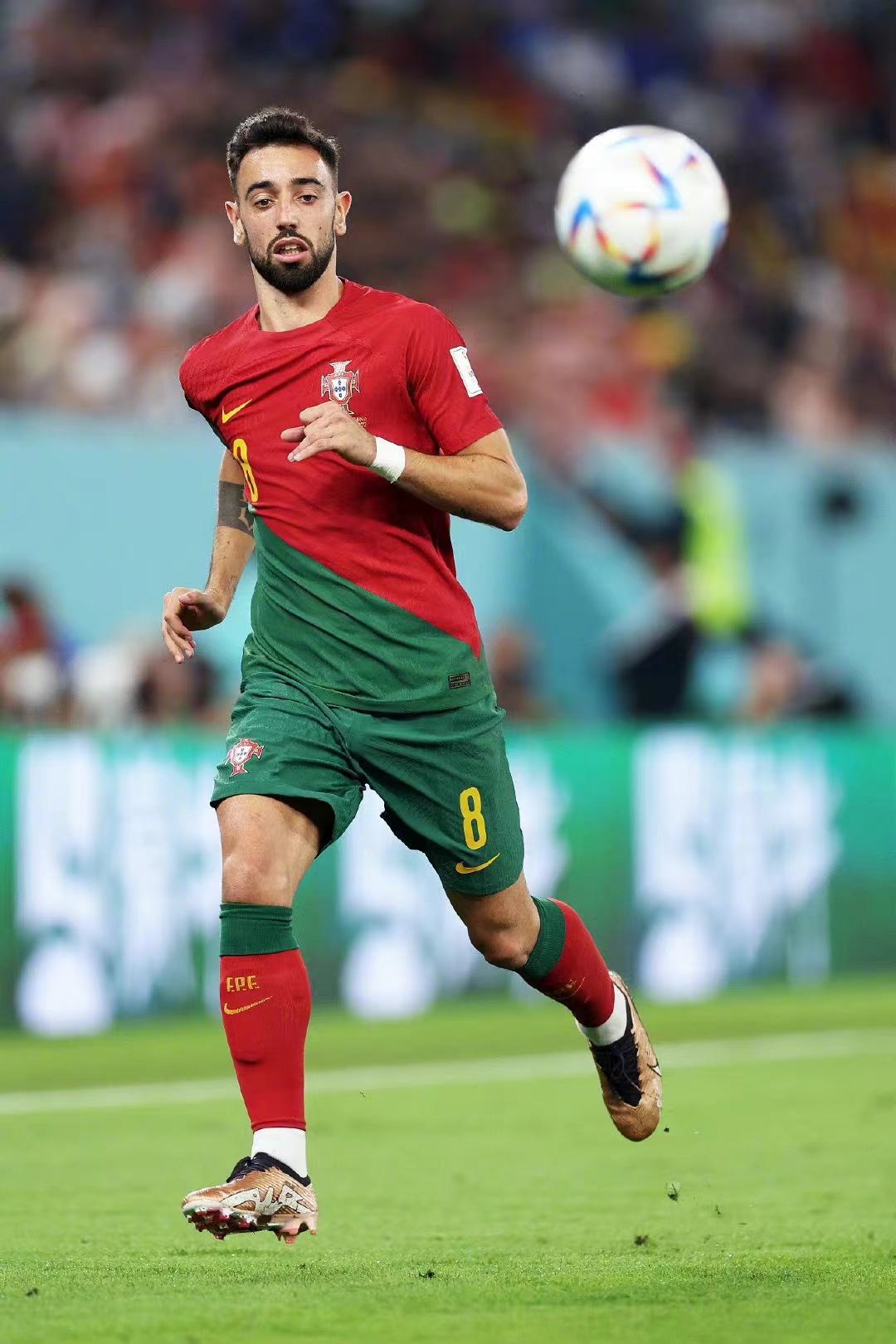 关于意大利横扫丹麦,布鲁诺·费尔南德斯惊艳世界的信息 关于意大利横扫丹麦,布鲁诺·费尔南德斯惊艳世界的信息