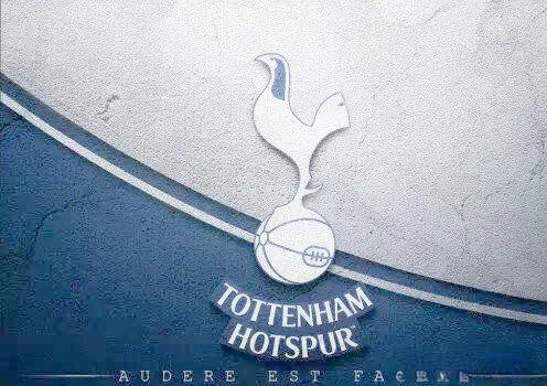 托特纳姆热刺新援表现出色,令球迷惊喜的简单介绍 托特纳姆热刺新援表现出色,令球迷惊喜的简单介绍