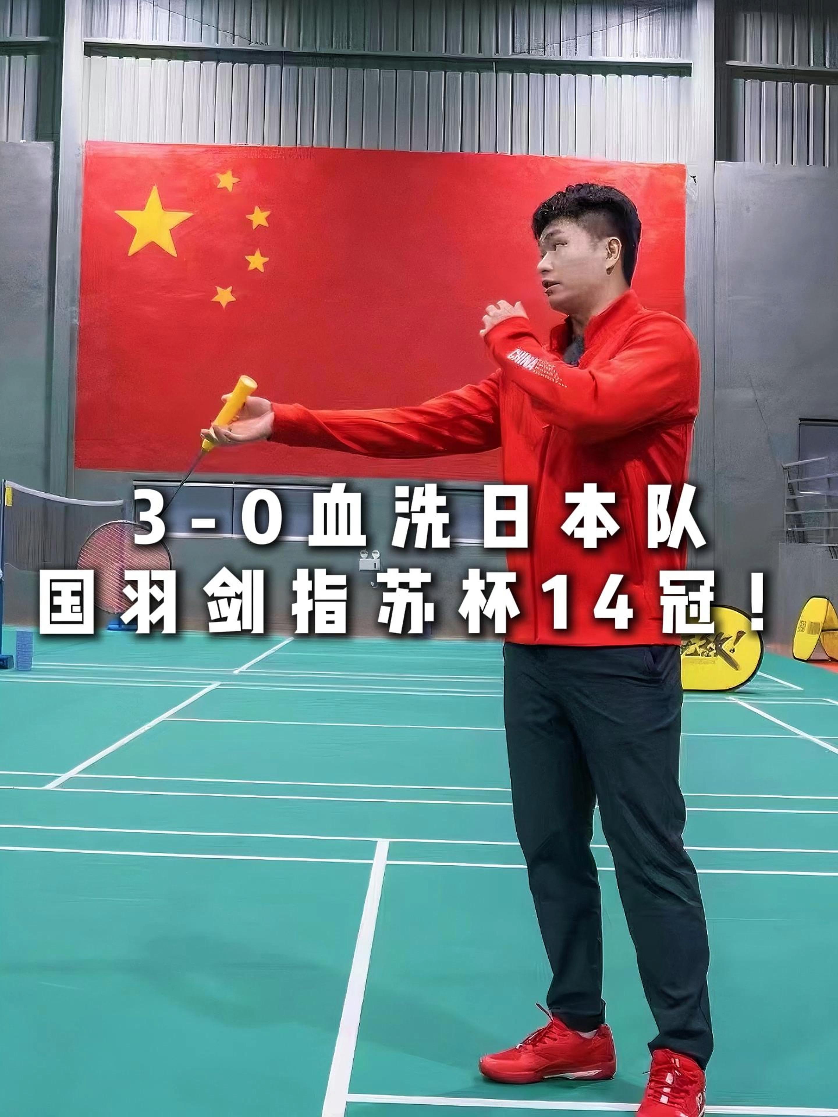 日本乒乓球队血洗比利时乒乓球队，波尔制霸全场的简单介绍